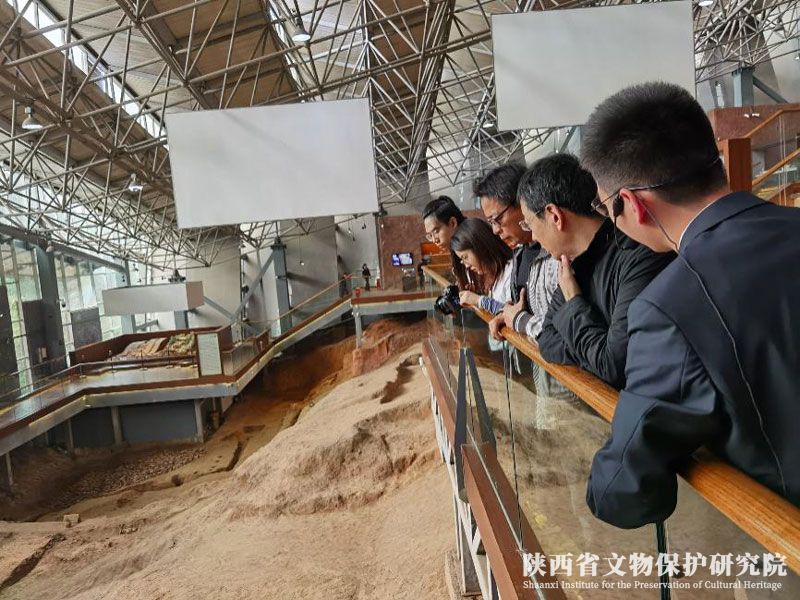 5fb22ab7763c3.jpg 1111111.jpg