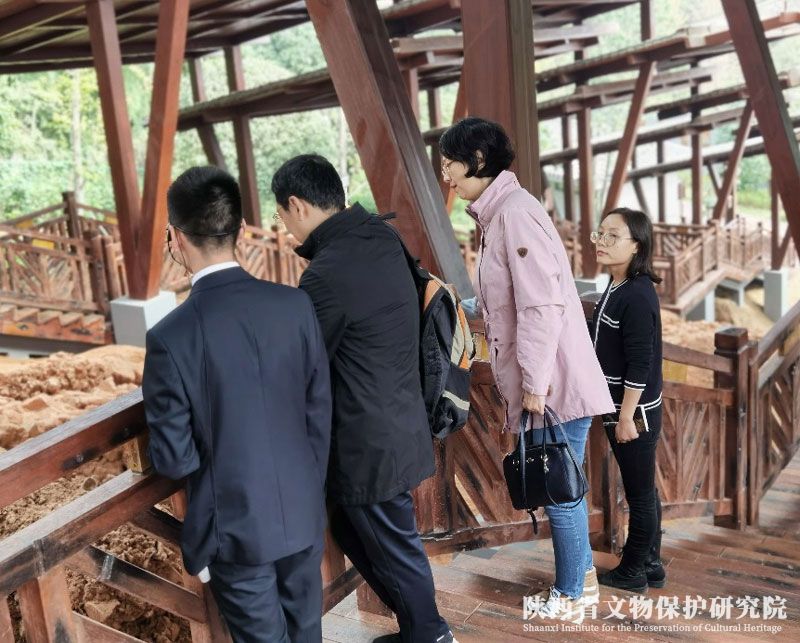 5fb22ad15421f.jpg 3333333.jpg