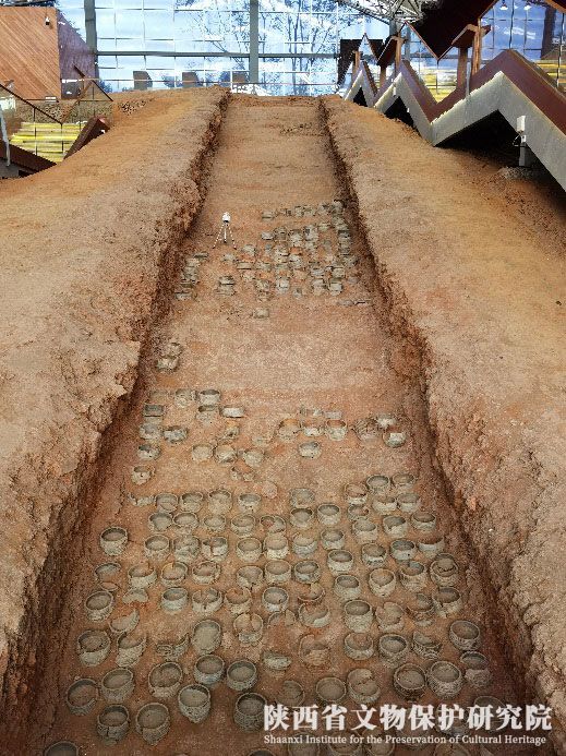 5fb22adeaf156.jpg 4444444.jpg