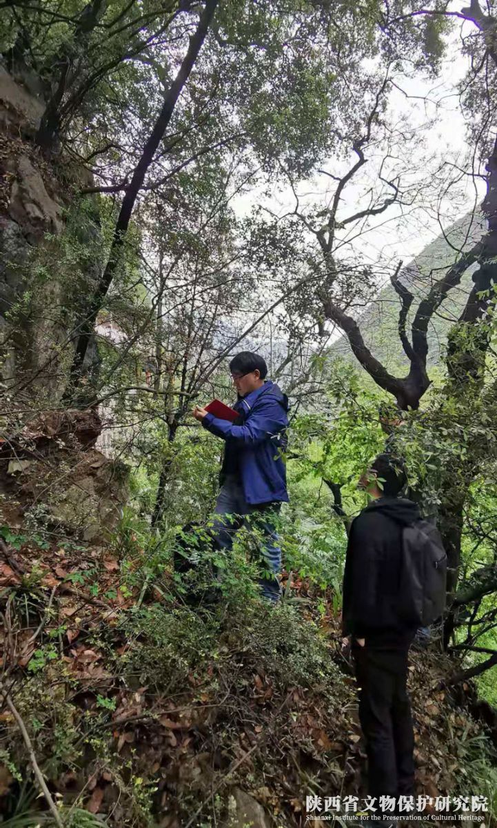 607e492071cdc.jpg 005.jpg