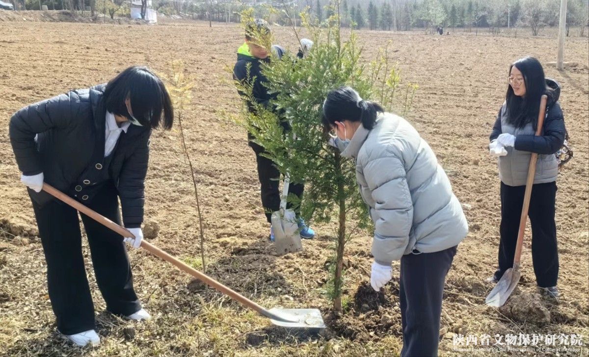 65eee2599615c.jpg 微信图片_20240311185113.jpg