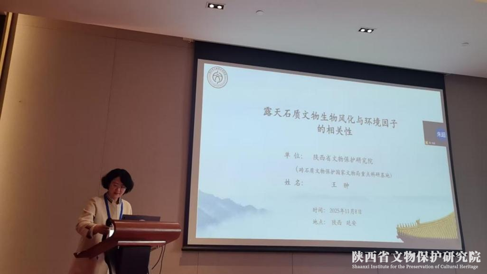 691699df92dd4.png 图片1.png