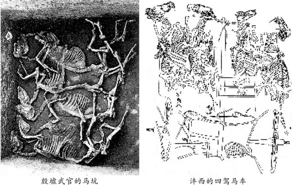 马到成功4