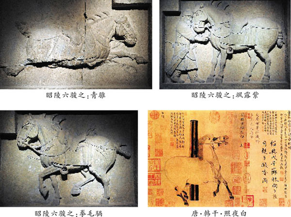 马到成功6